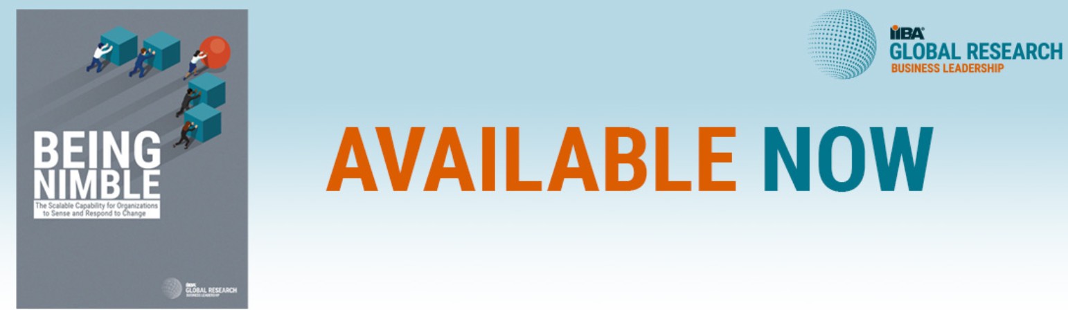 【オンラインセミナー】IIBAの考えるビジネスアジリティ“Nimble（ニンブル）”とは何か