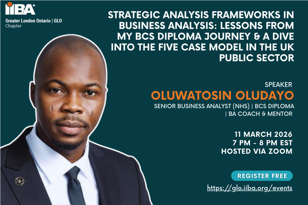 Strategic Analysis Frameworks in Business Analysis: Lessons From My BCS Diploma Journey & A Dive Into the 5 Case Model in the UK Public Sector