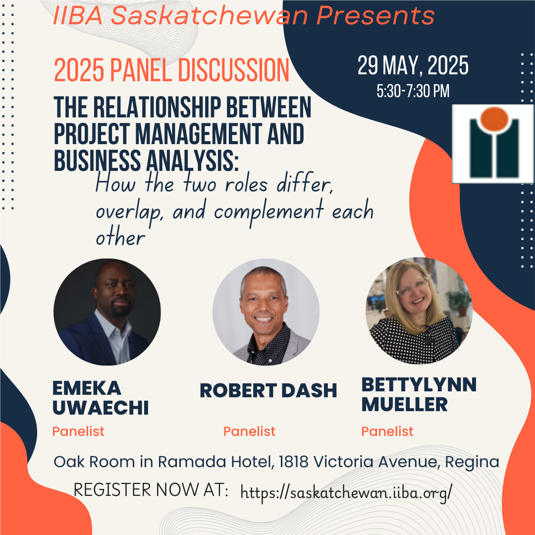 The relationship between project management and business analysis panel discussion