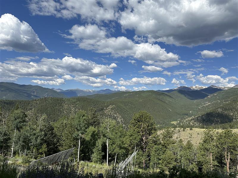 Jette Hogenmiller — practitioner in Unknown, XX