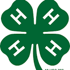 4-H Livestock - Urban Program Bexar County